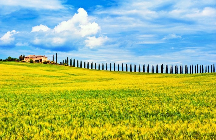 Toscana, de Allard Schager