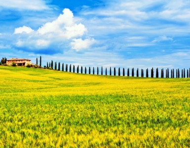 Toscana, de Allard Schager